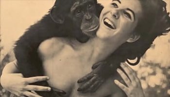 porno tetas pequenas