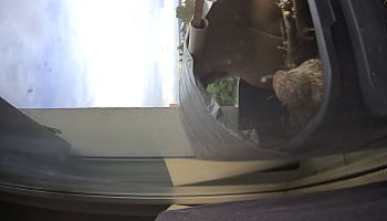 tube8 huge cock