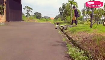 sex vietsud ko che