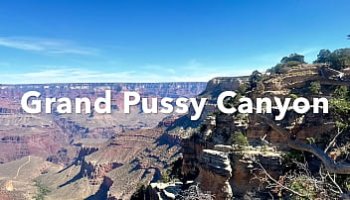 pornhubdownload