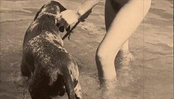 video donne orientali