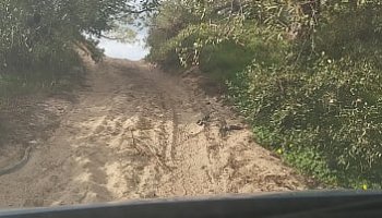 scopata al parco