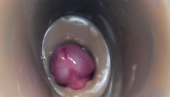 x tapes porn