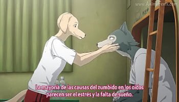 cuginatroia