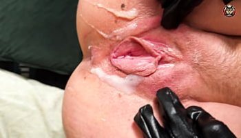 pig