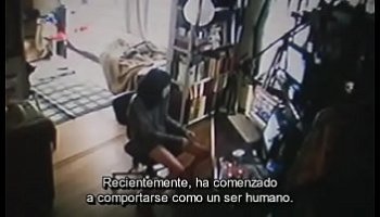 prendi porno hard vide