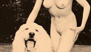 video cougar italia