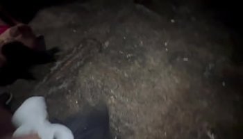 nei bagni della scuola