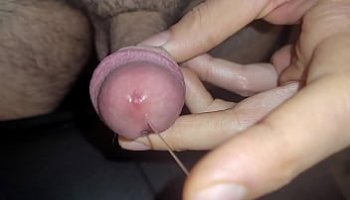 traga pelotas