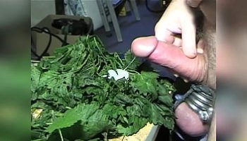 teen scopata dal diavo