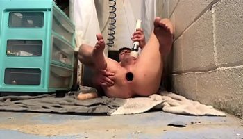 gravida anal