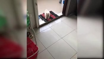 amatoriale sotto la doccia