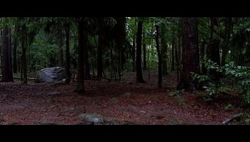 video de pomo